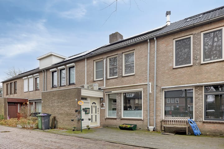 Foto 2 van Schutsboom 37