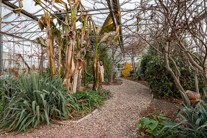 Foto 51 van Dorpsweg 39