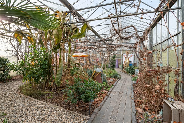 Foto 57 van Dorpsweg 39