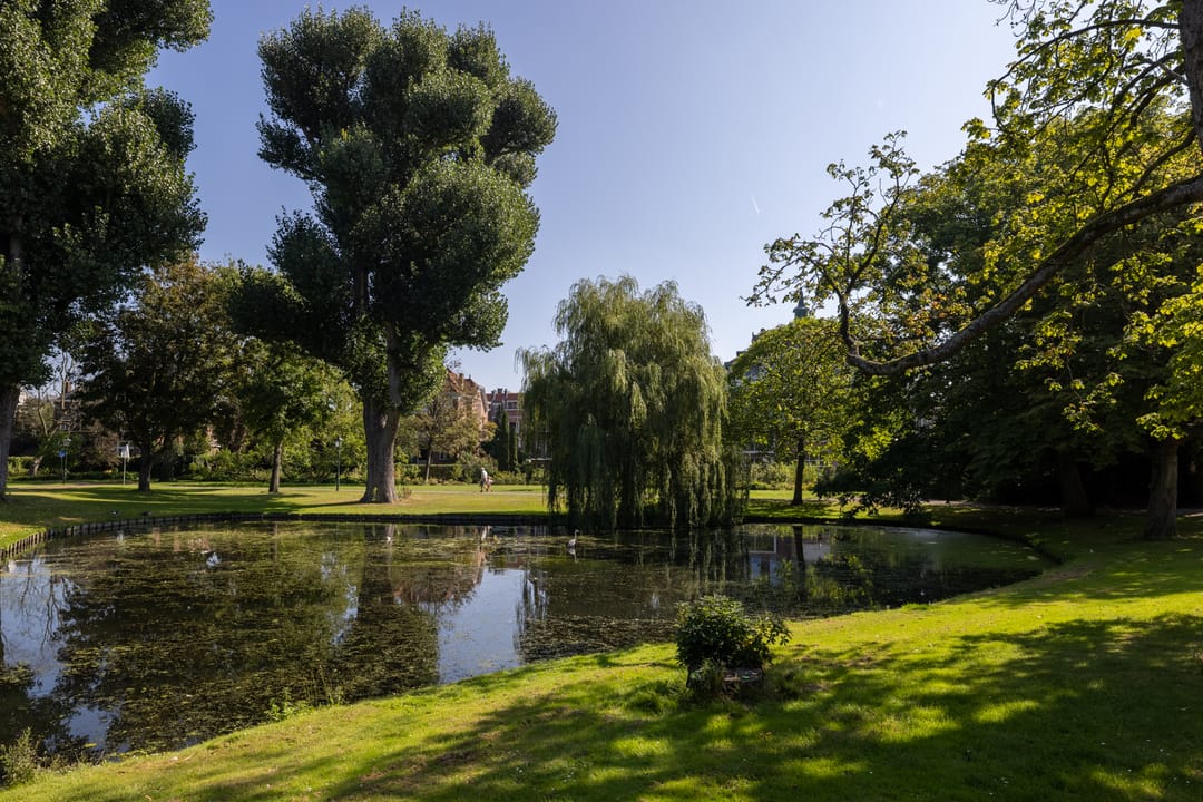 Foto 28 van Kralingseweg 13-B