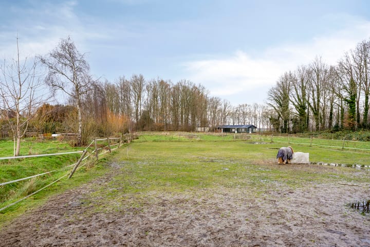 Foto 27 van Noorderstraat 4