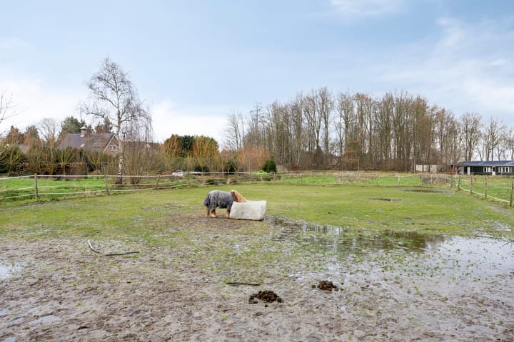 Foto 28 van Noorderstraat 4