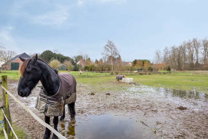 Foto 29 van Noorderstraat 4
