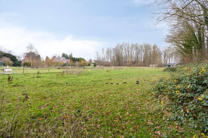 Foto 30 van Noorderstraat 4