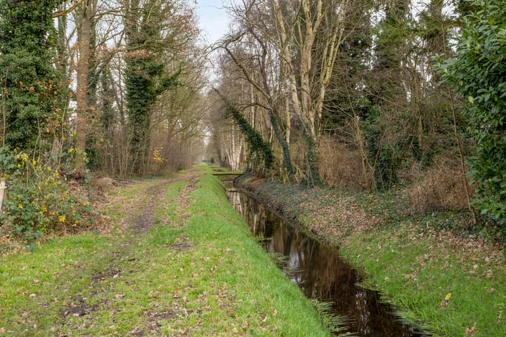 Foto 35 van Noorderstraat 4