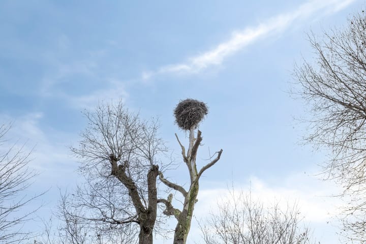 Foto 36 van Noorderstraat 4