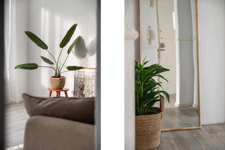 Foto 9 van Freericksplaats 23-B