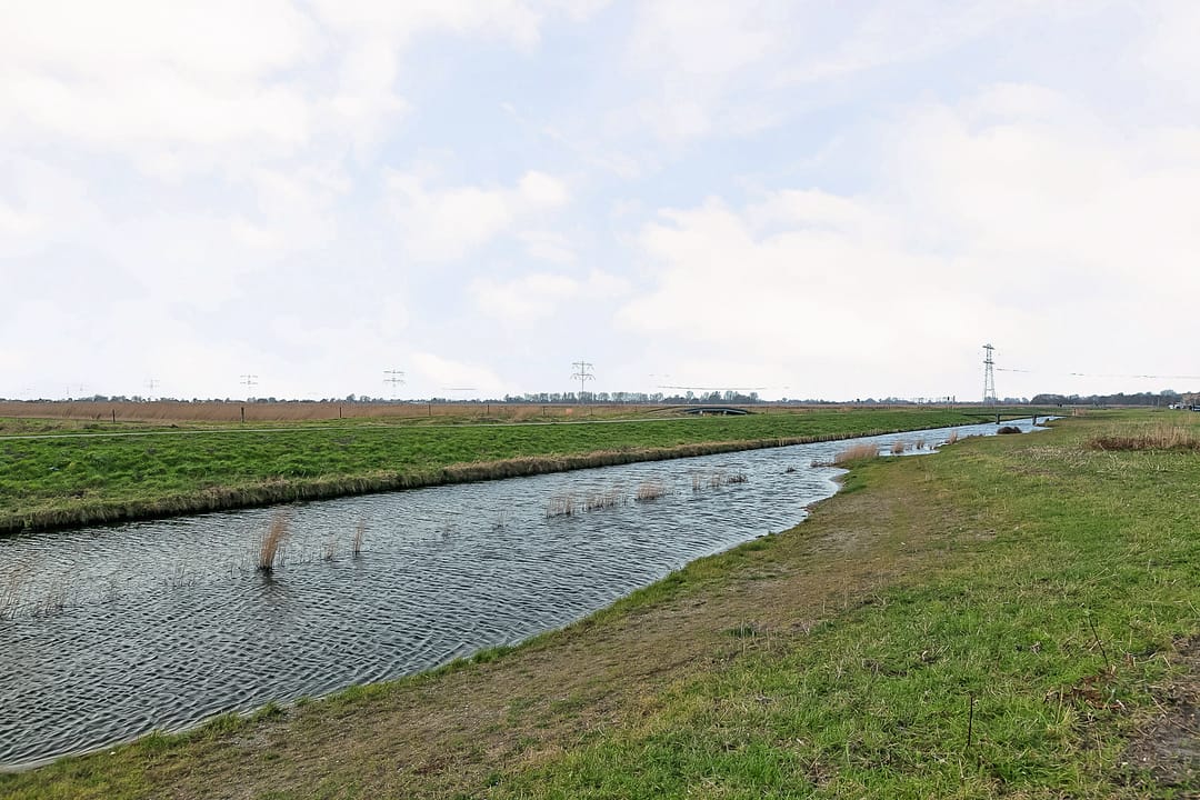 Photo 41 of Caro van Eyckstraat 41