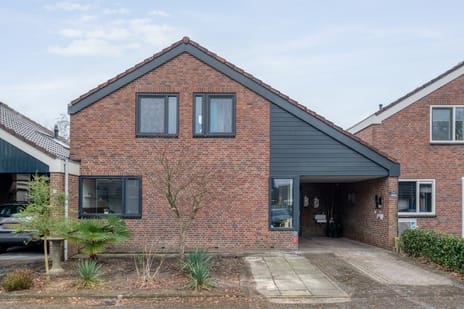 Schapendrift thumbnail