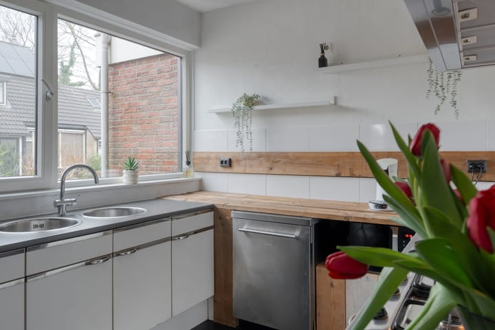 Foto 17 van Schapendrift 135