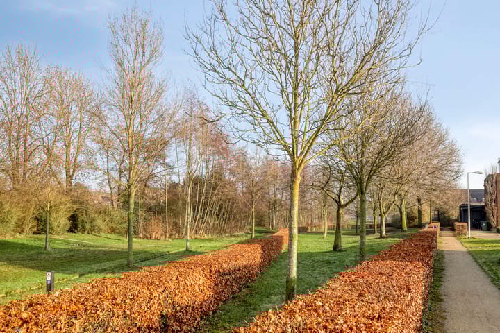 Foto 27 van Groninger Meeuwlaan 71