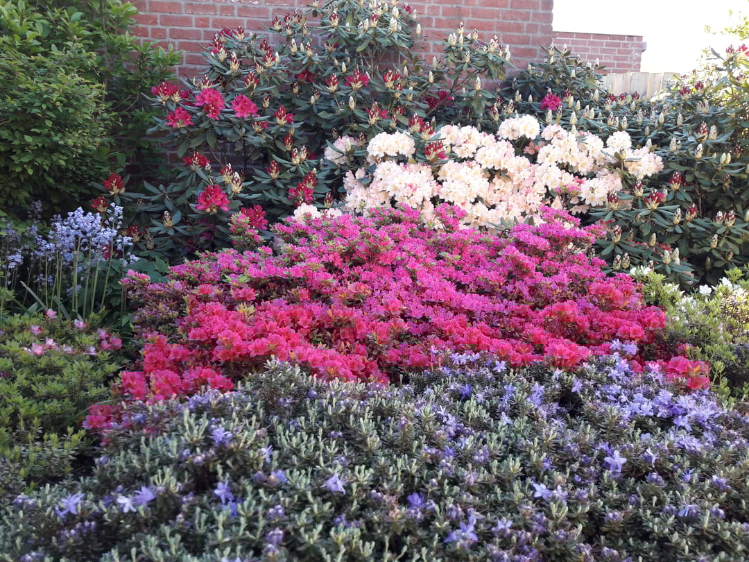 Photo 41 of Beethovenlaan 35