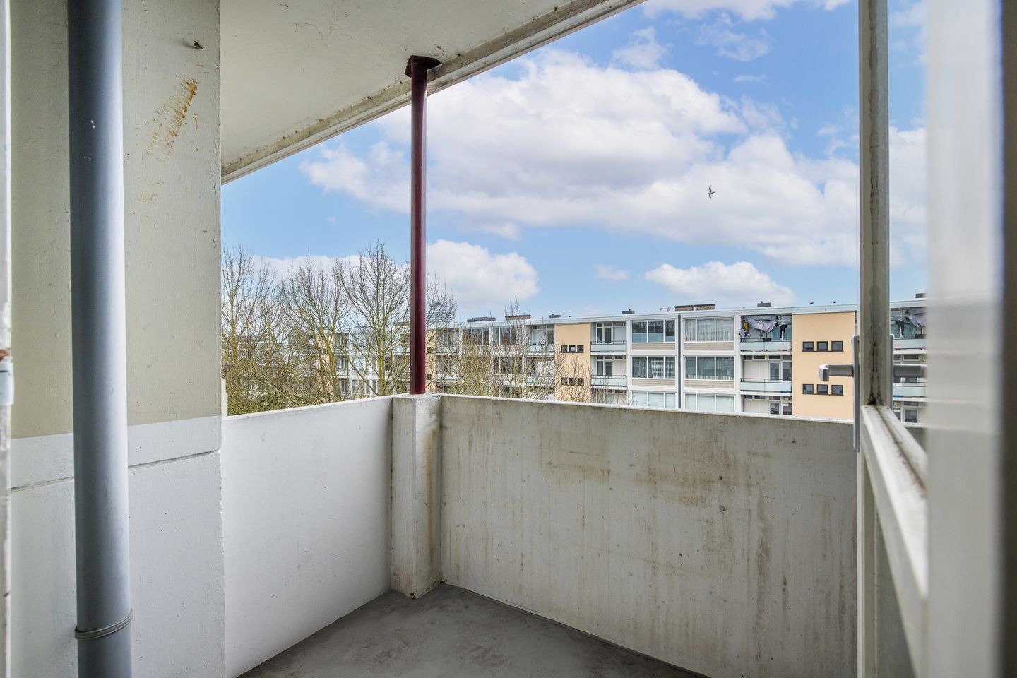 Foto 19 van Rooseveltlaan 804