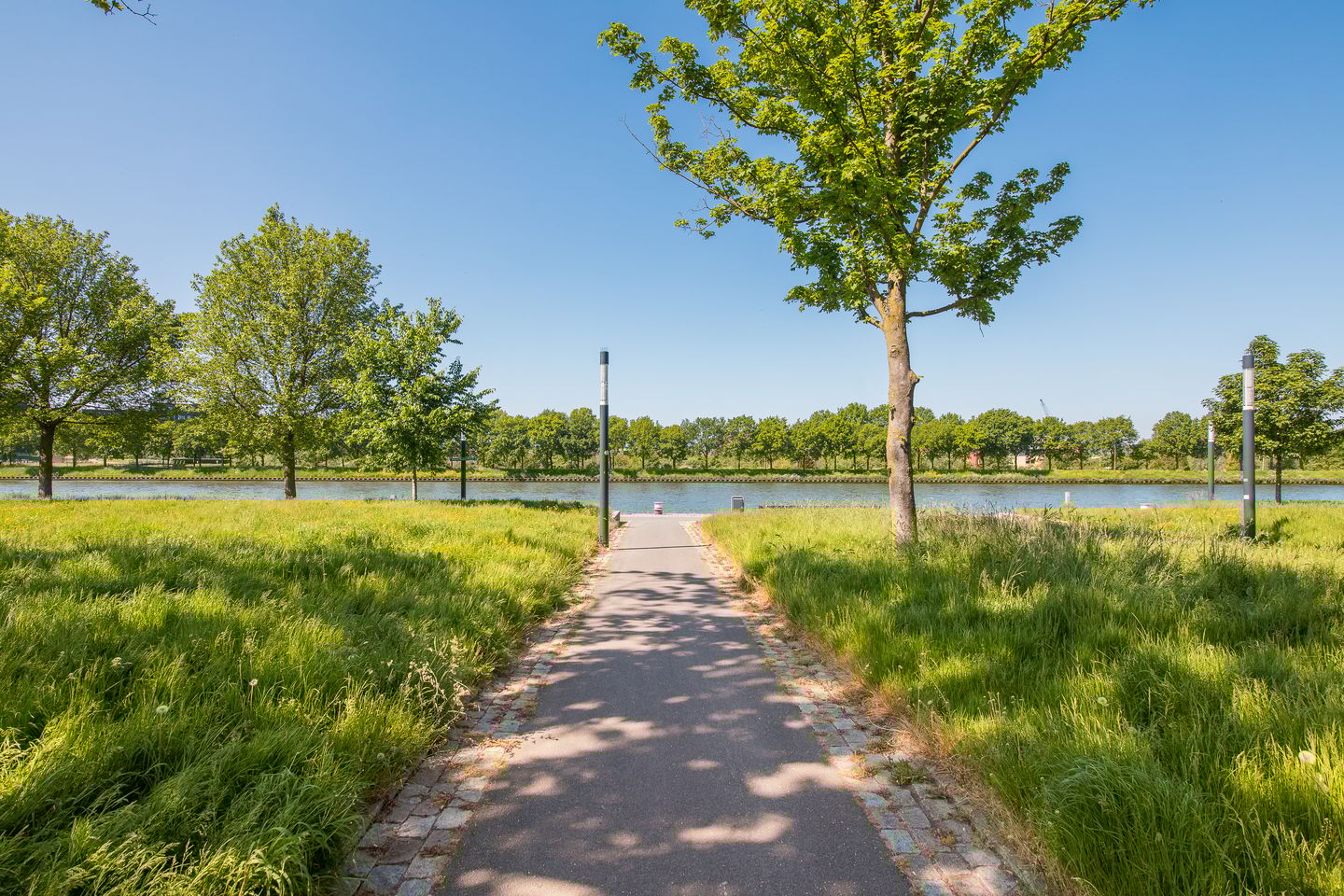 Foto 20 van Rooseveltlaan 804