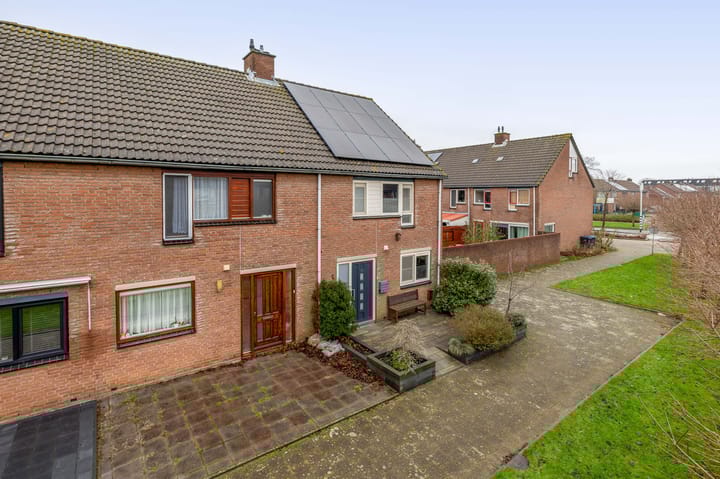 Foto 6 van Koolwitje 1