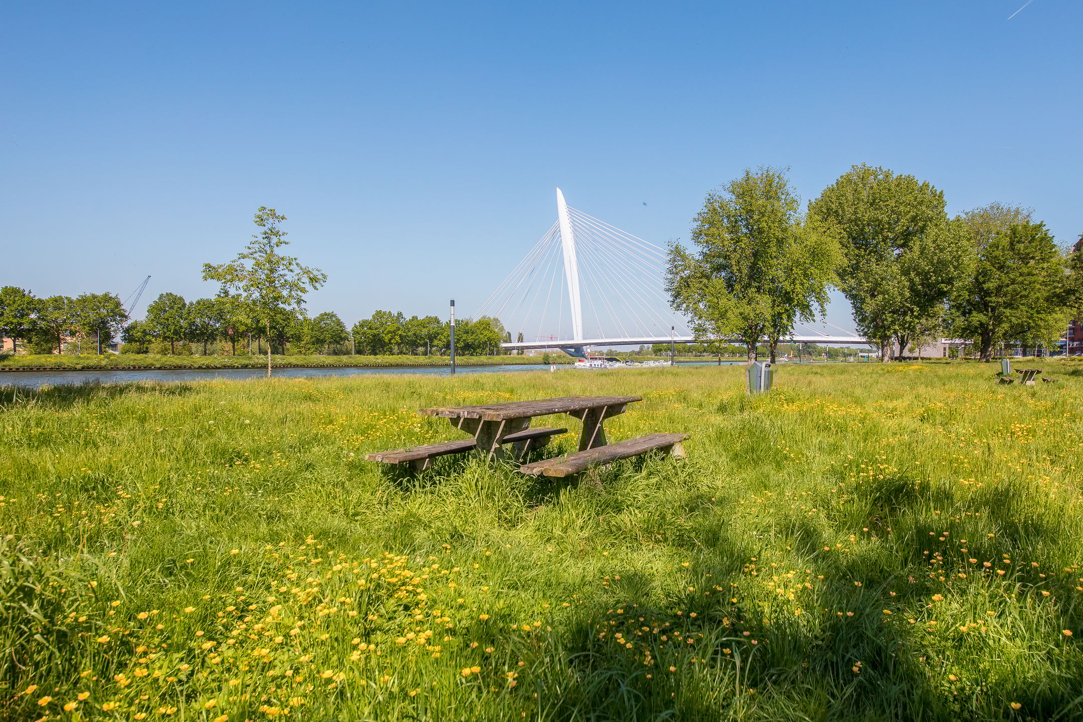 Foto 21 van Rooseveltlaan 804