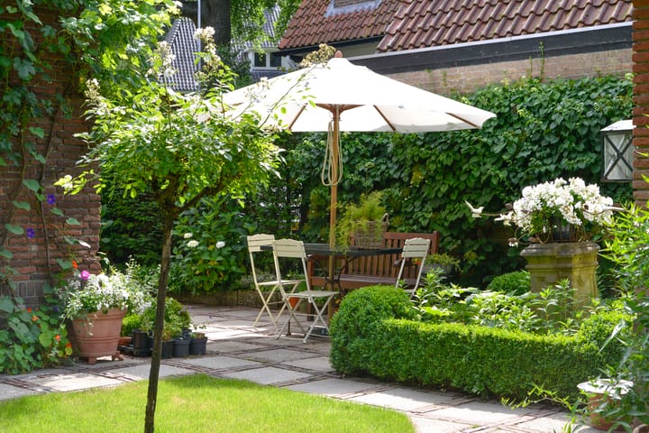 Foto 43 van Laan van Vogelenzang 24