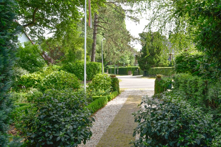 Foto 47 van Laan van Vogelenzang 24