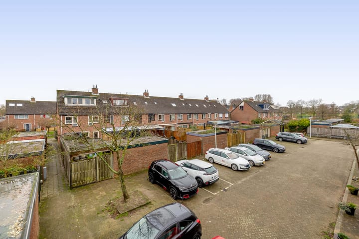 Foto 39 van Koolwitje 1