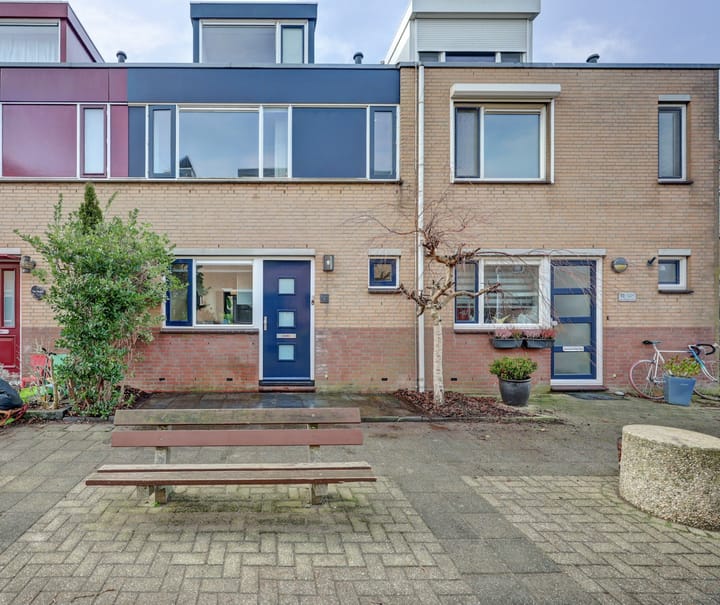 Foto 2 van Mantelmeeuw 9