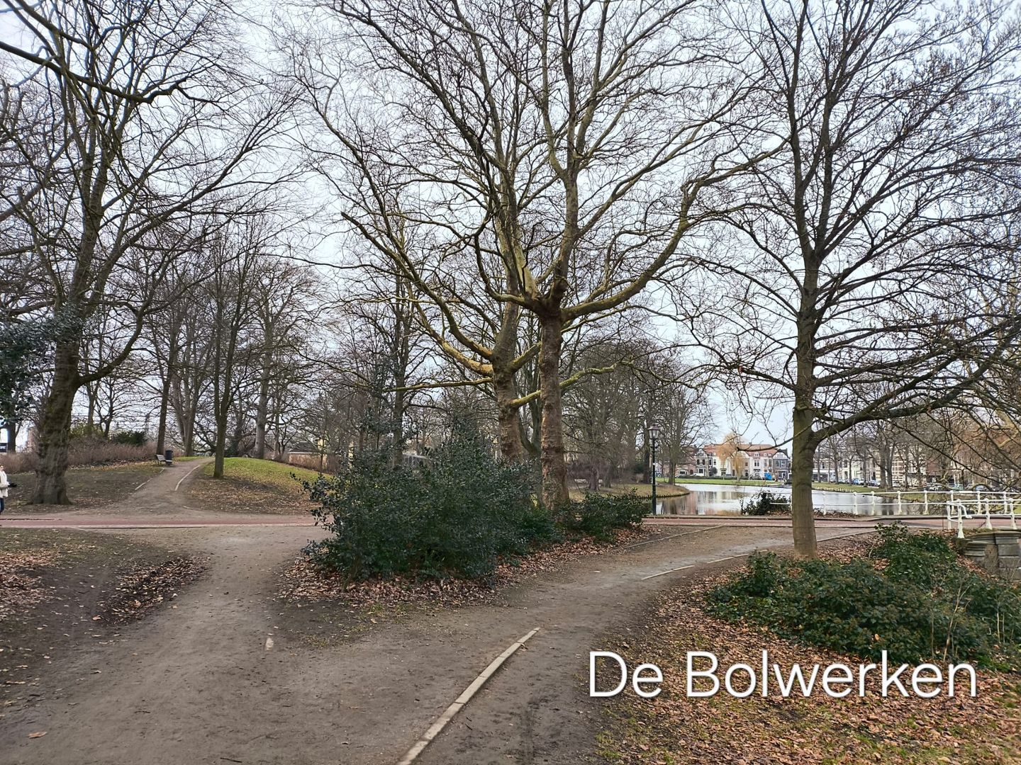 Photo 49 of Pieter Kiesstraat 60