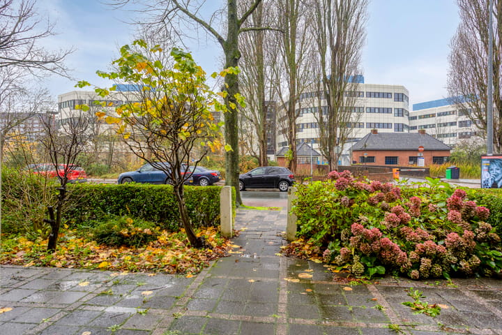 Foto 3 van Petrus Campersingel 149-A