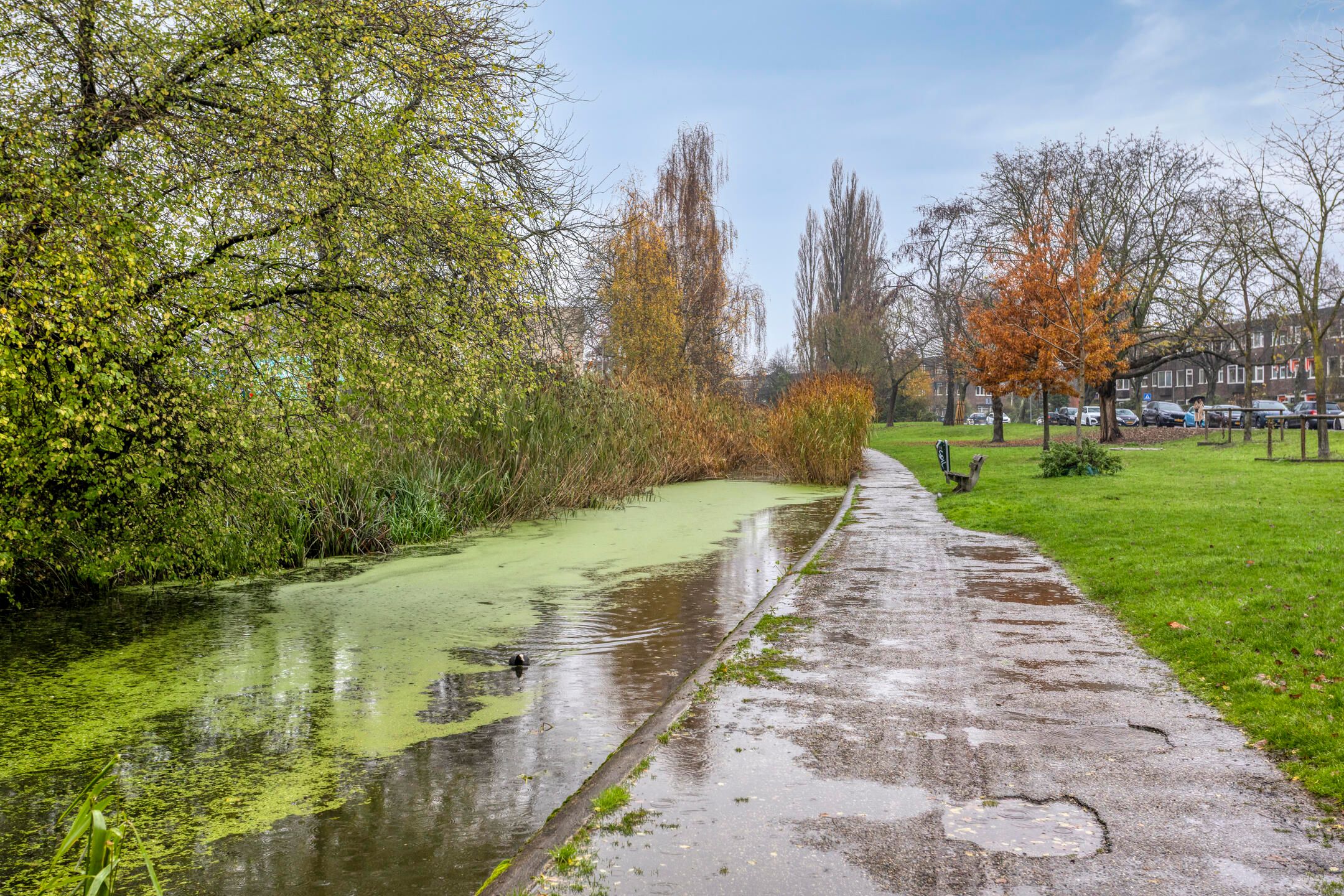 Foto 42 van Petrus Campersingel 149-A