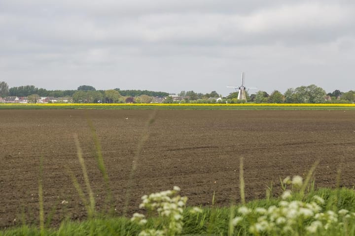 Foto 50 van Zonnebloemstraat 1