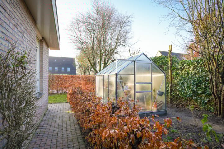 Foto 37 van Zwijning 9