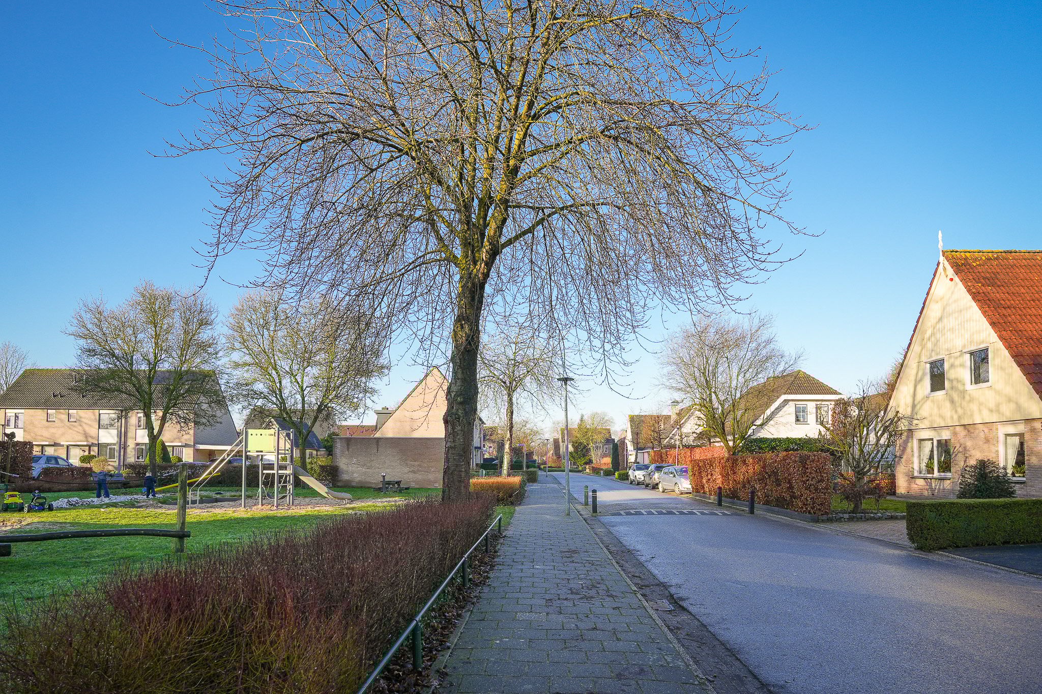 Foto 45 van Zwijning 9