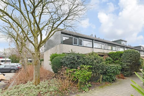 undefined main image