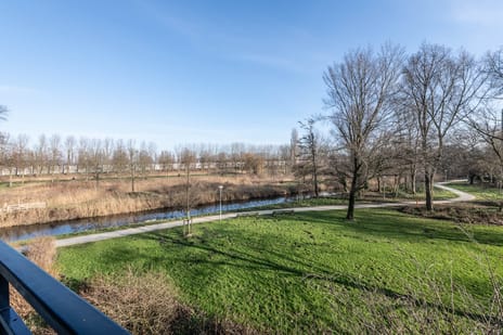 Amerbos 172 tertiary image