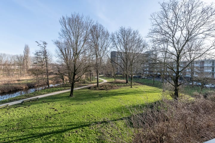 Foto 22 van Amerbos 172