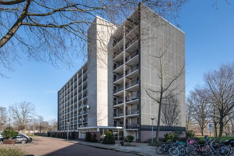 Amerbos 172 secondary image