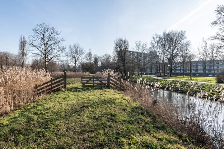 Foto 29 van Amerbos 172