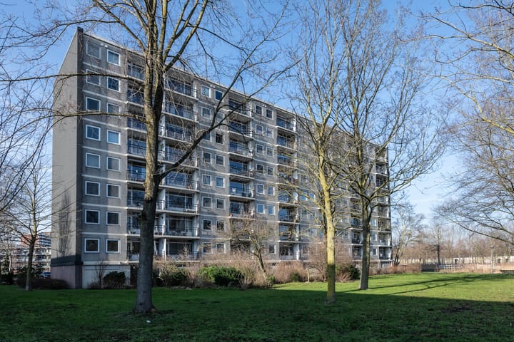 Foto 34 van Amerbos 172