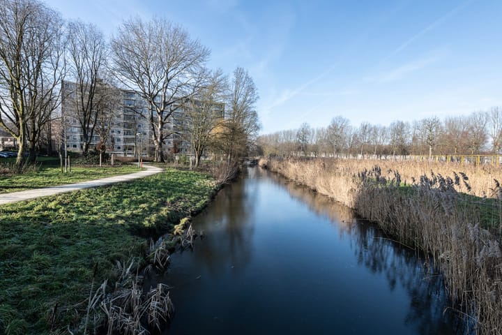 Foto 28 van Amerbos 172