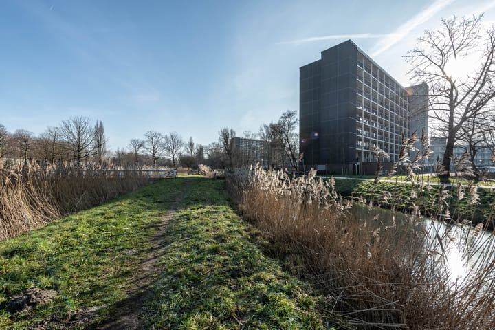 Foto 27 van Amerbos 172