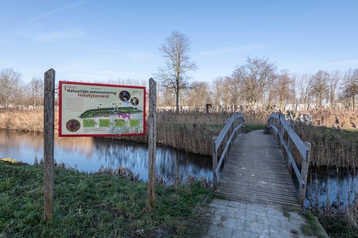 Foto 31 van Amerbos 172