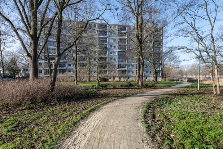 Foto 32 van Amerbos 172