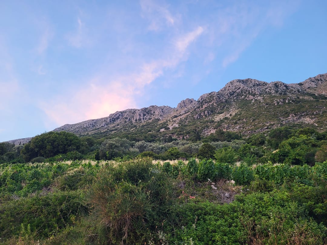 Foto 11 van Nikoli Hillside Estate