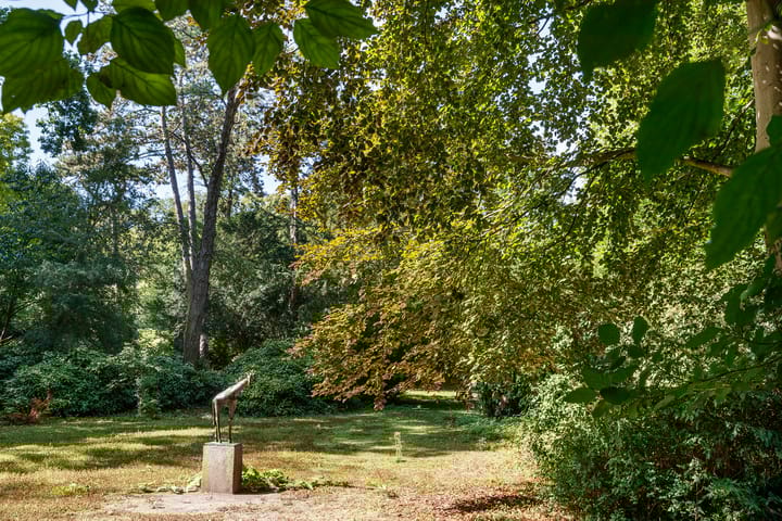 Foto 38 van Anjelierstraat 2