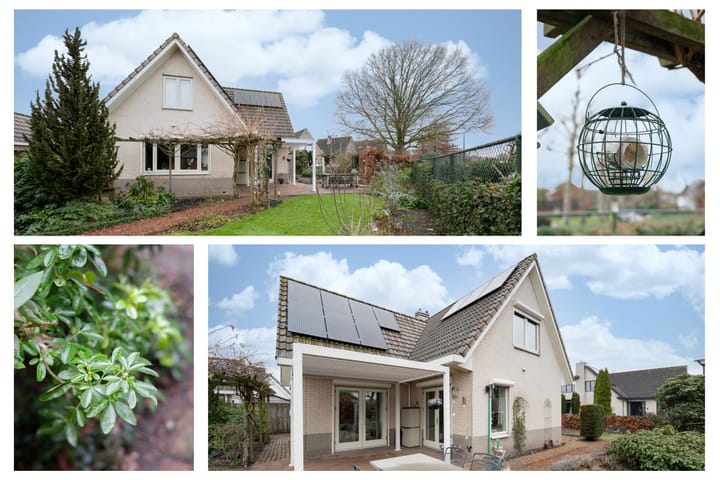 Foto 23 van Wielerbaan 1