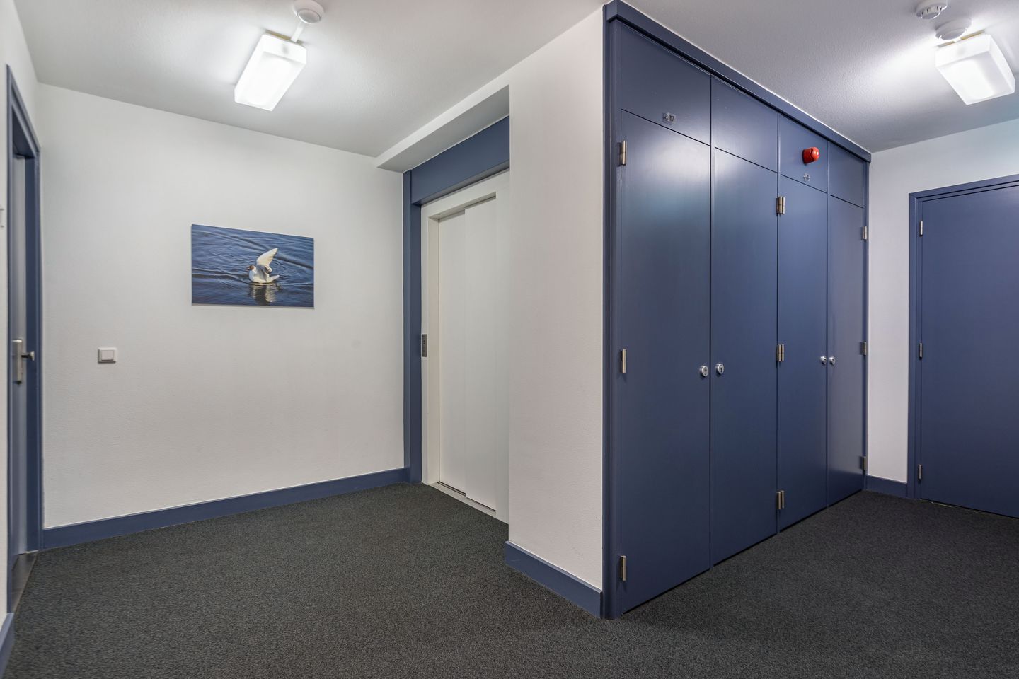 Photo 5 of Gooimeerpromenade 115