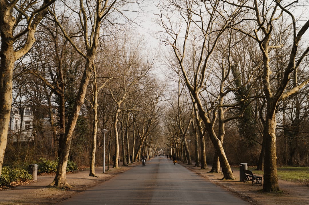 Foto 28 van Frederiksstraat 39-2