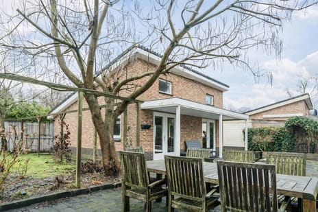 undefined main image