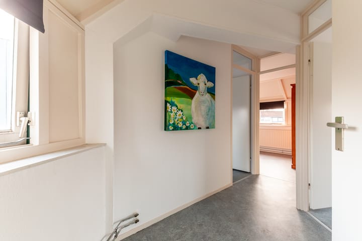 Foto 19 van Galjoen 23 18