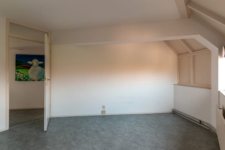 Foto 22 van Galjoen 23 18