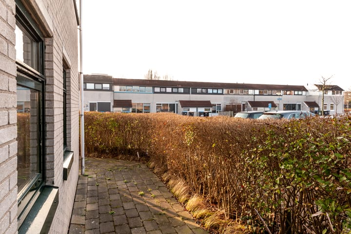 Foto 6 van Galjoen 23 18