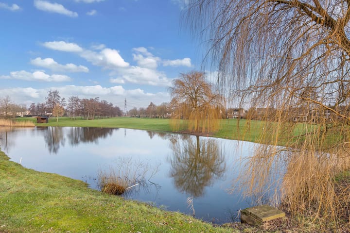 Photo 42 of Winter 4